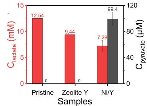 Open access visualization of Bar Plot, Error Bars, Clustered, Lactate, Pyruvate