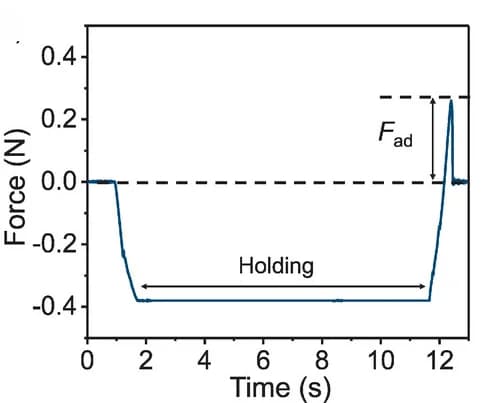 Open access visualization of Line Plot, Time Evolution, Forces, Testing Protocols, Compression