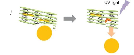 Open access visualization of Workflow, Illustration, Polymer Film, Light-Driven Shape Change, Detachment