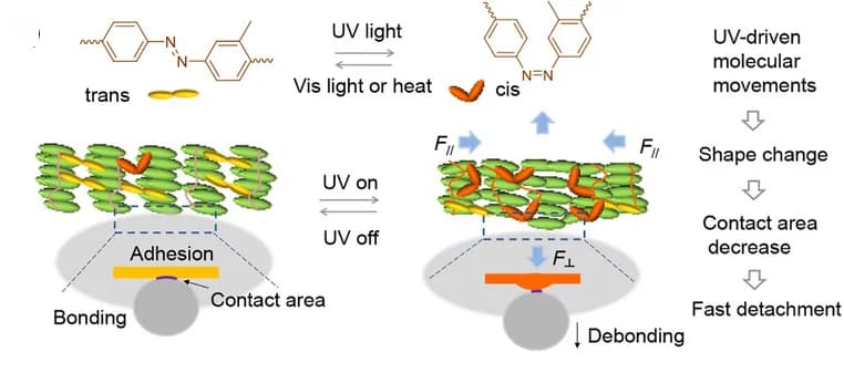 Open access visualization of Workflow, Illustration, UV Light, Polymer Film, Adhesion