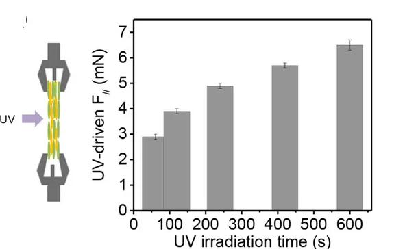 Open access visualization of Bar Plot, Error Bars, Force Measurement, UV Irradiation, Molecular Alignment