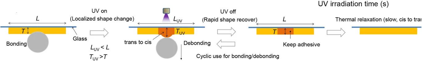 Open access visualization of Workflow, Illustration, Adhesion, Detachment, Polymer Film