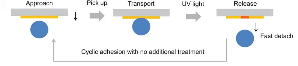 Open access visualization of Workflow, Flowchart, Illustration, Polymer Film, Adhesion