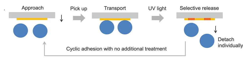 Open access visualization of Workflow, Flowchart, Illustration, Polymer Film, Adhesion