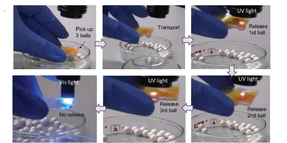 Open access visualization of Photo, Photographs, Pickup-Delivery-Release Cycles, Adhesion, Detachment