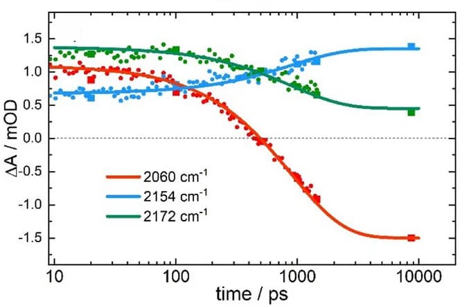 Open access visualization of Line Plot, Scatter Plot, Time Traces, IR Bands, Exponential Fits