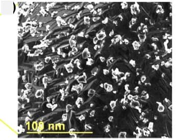Open access visualization of Microscopy, Fe2O3 NPs/Cu