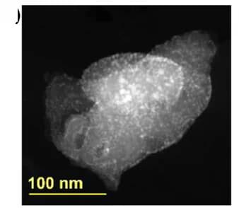Open access visualization of Microscopy, STEM Image, EDS Mapping, Fe2O3 NPs/Cu