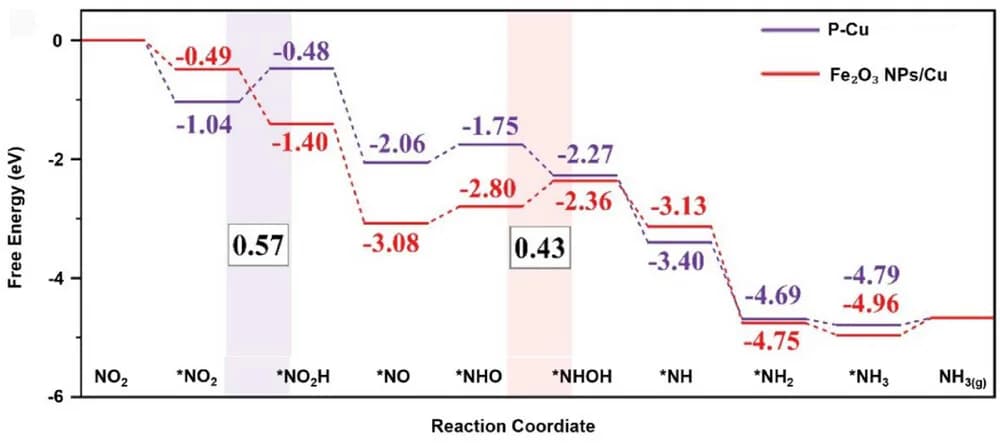 Open access visualization of Line Plot, Line Step, Gibbs Free Energy Diagram, NOxRR, Fe2O3 NPs/Cu