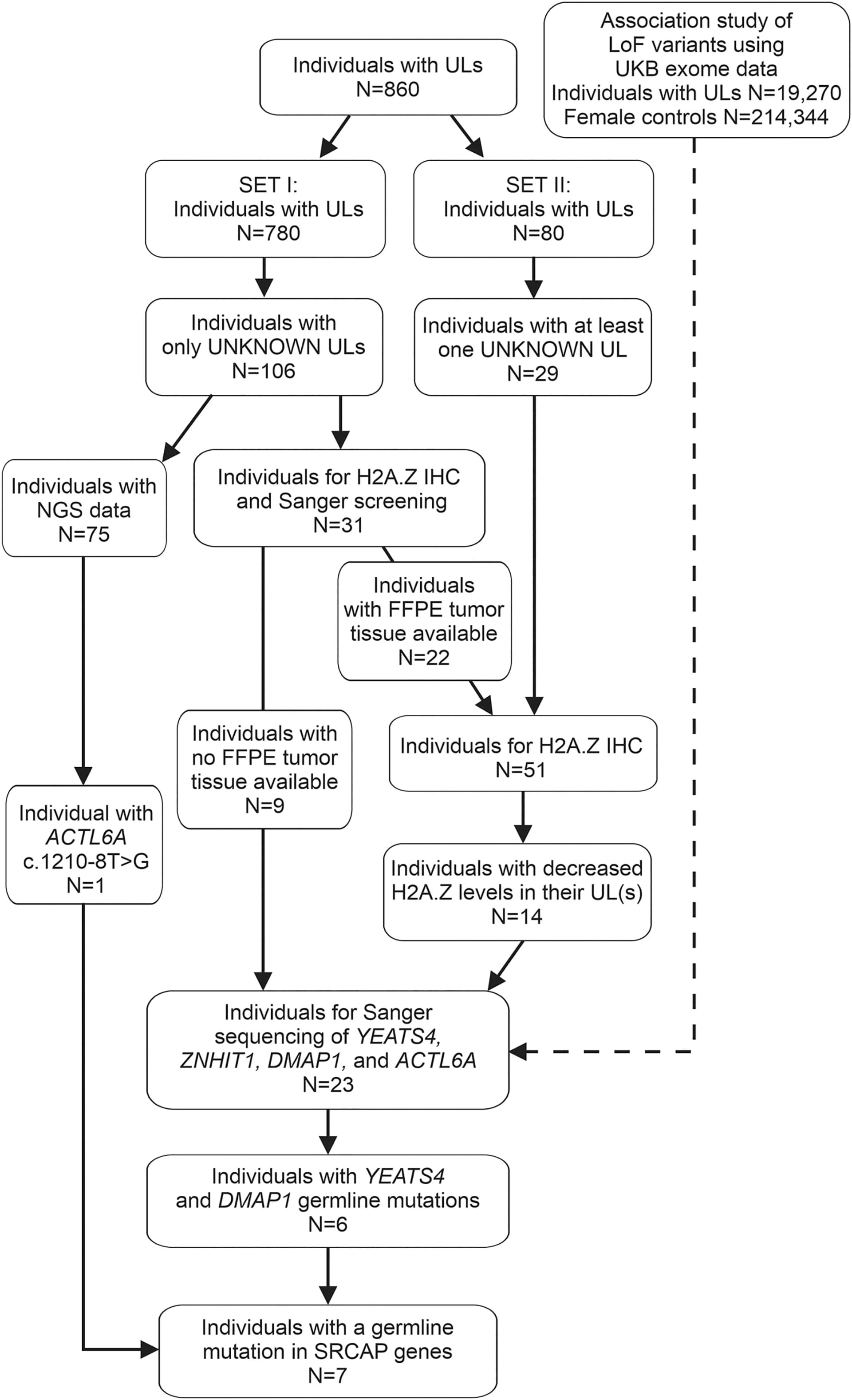 Open access visualization of Workflow, Flowchart, Individuals, Tumors, RNA-seq