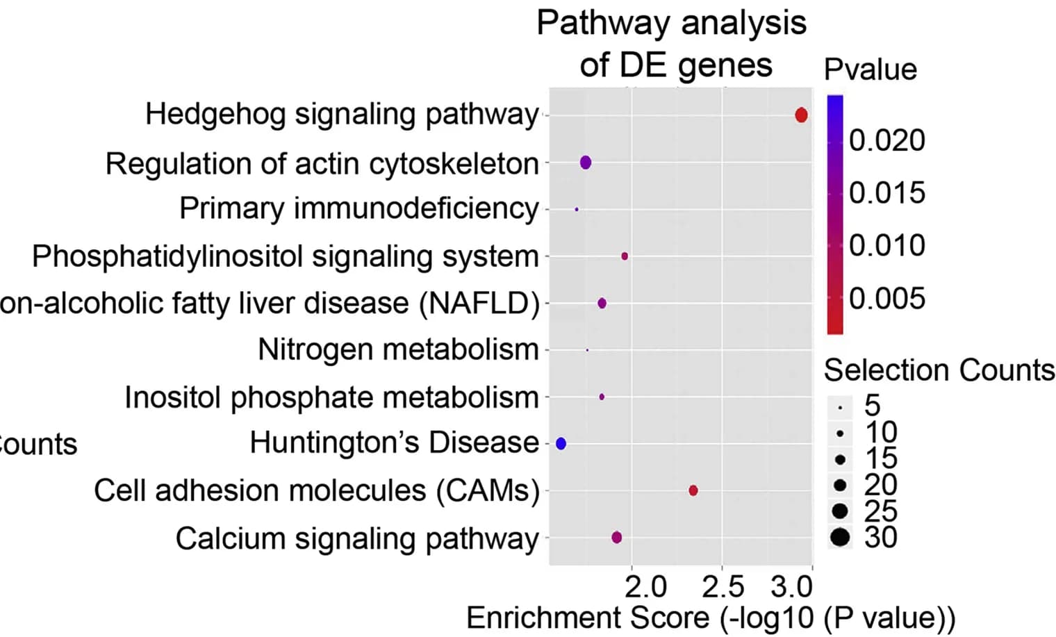 Open access visualization of Scatter Plot, Bubble Plot, Volcano Plot, KEGG Analysis, Hedgehog Signaling Pathway