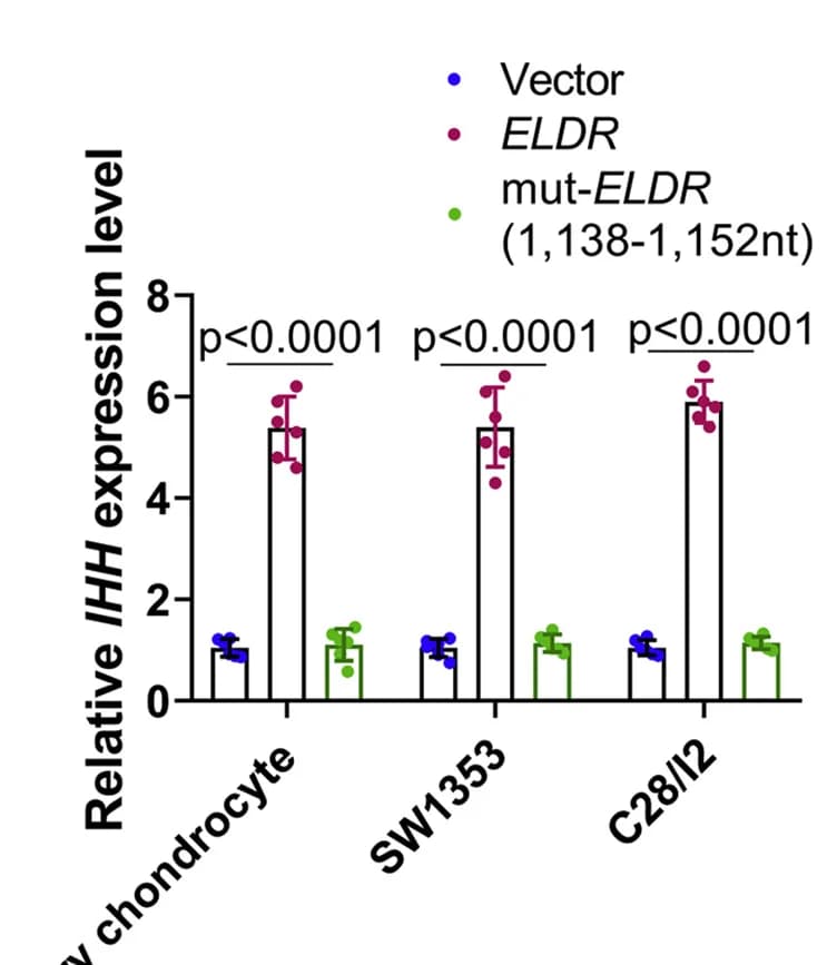 Open access visualization of Bar Plot, Error Bars, Overexpression, WT ELDR, Site-Directed Mutagenesis