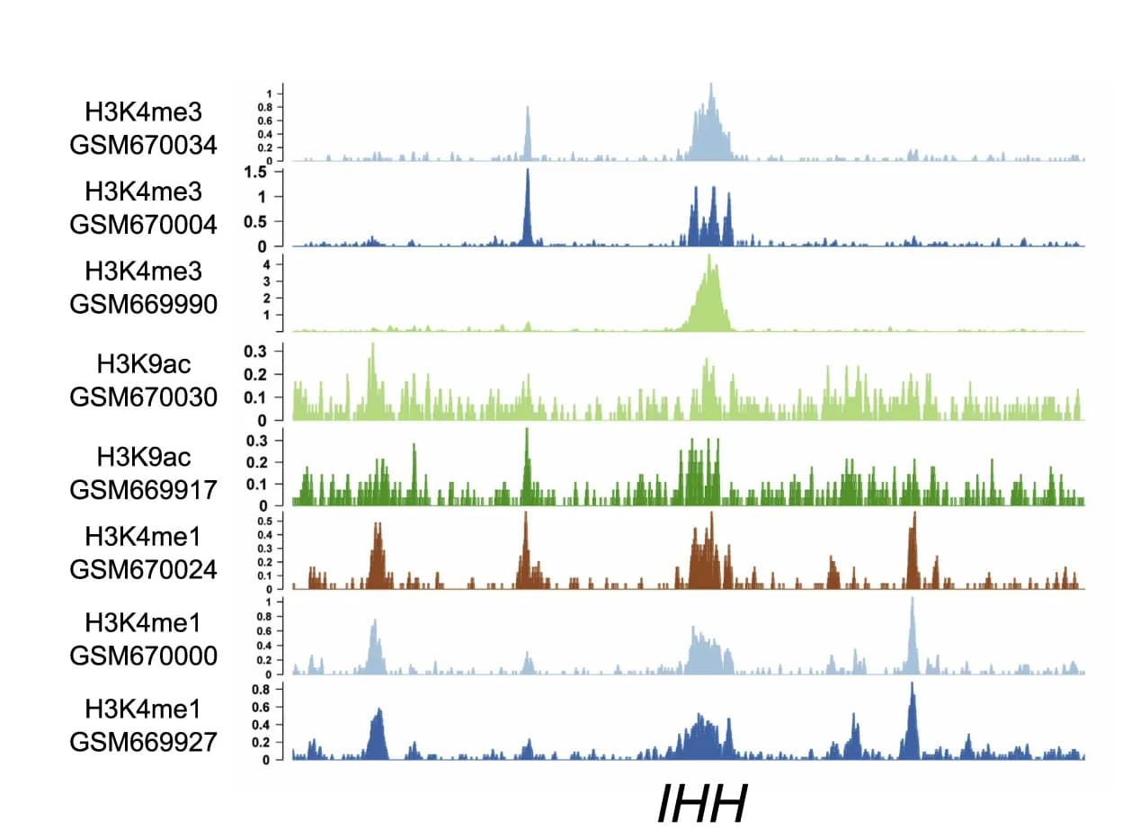 Open access visualization of Line Plot, ChIP-seq, H3K4me3, H3K9ac, H3K4me1