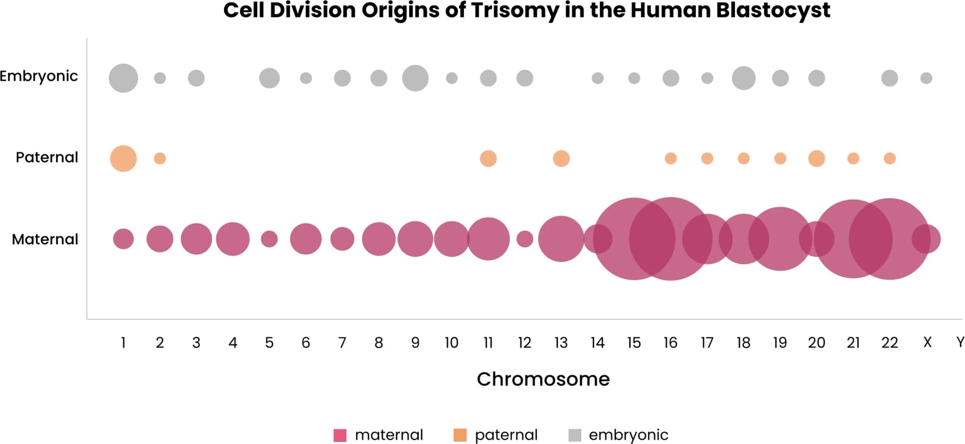 Open access visualization of Bubble Plot, Maternal Trisomies, Paternal Trisomies, Embryonic Trisomies, Human Blastocyst