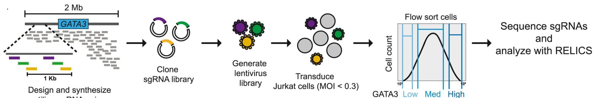 Open access visualization of Workflow, Line Plot, Density Plot, CRISPR-Cas9, Tiling deletion screen