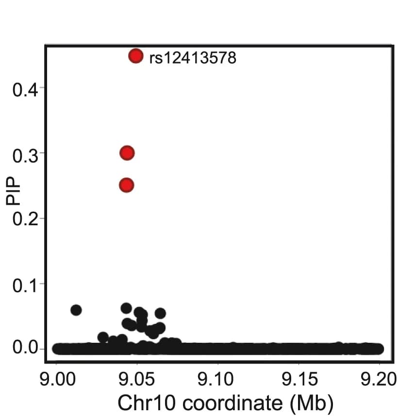 Open access visualization of Scatter Plot, Locuszoom Plot, Allergic Disease, Posterior Inclusion Probabilities, Risk Region
