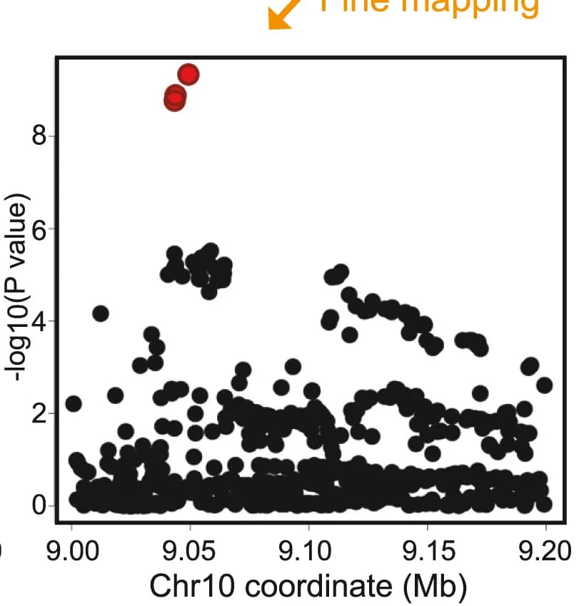 Open access visualization of Scatter Plot, Manhattan Plot, P-Value, Variants