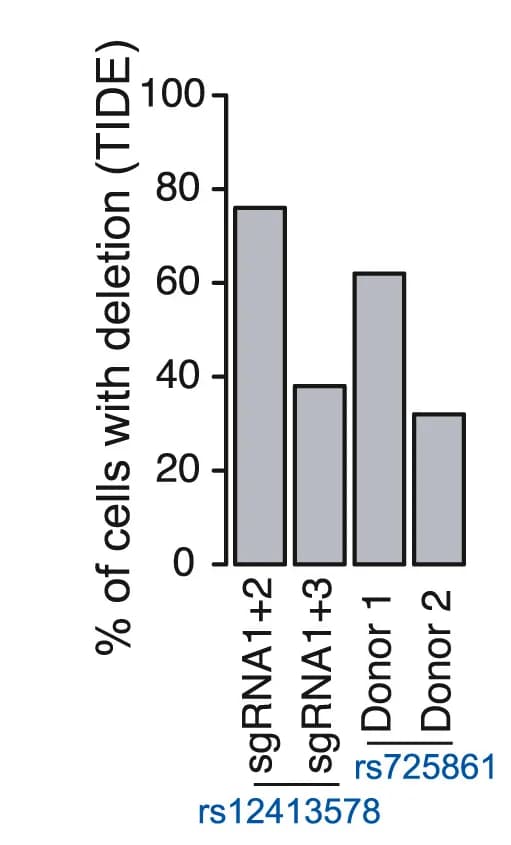Open access visualization of Bar Plot, Cell Deletion, Indel Tracking, Percentage of Cells