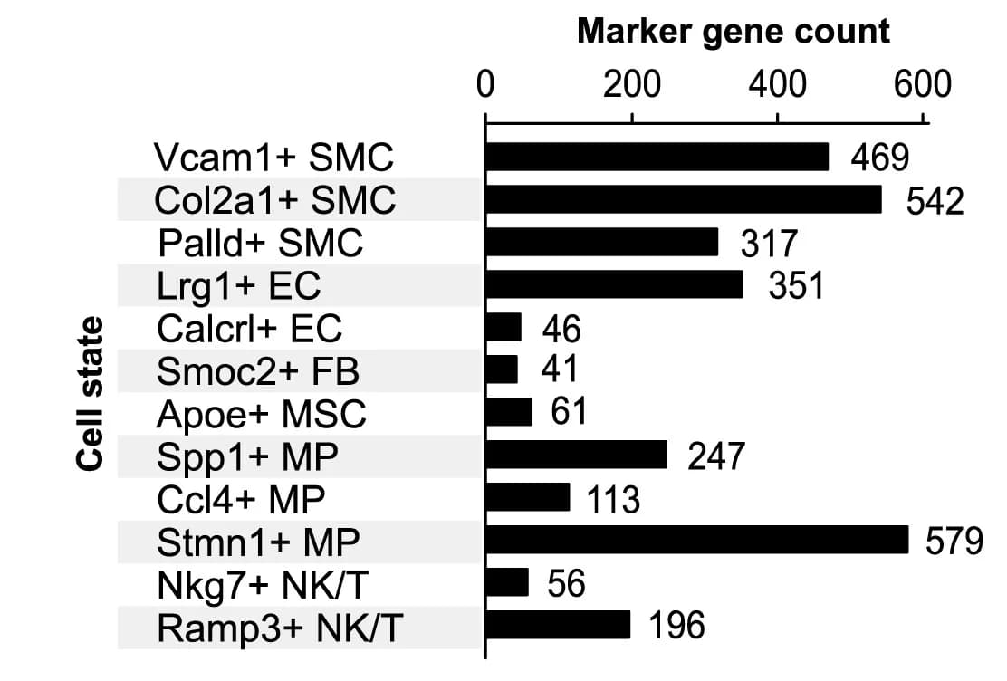 Open access visualization of Bar Plot, Marker Gene, Cell States, Disease