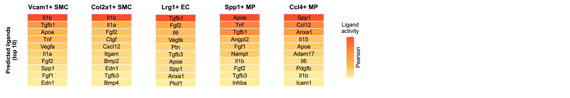 Open access visualization of Heatmap, Ligands, Cell State, Gene Sets