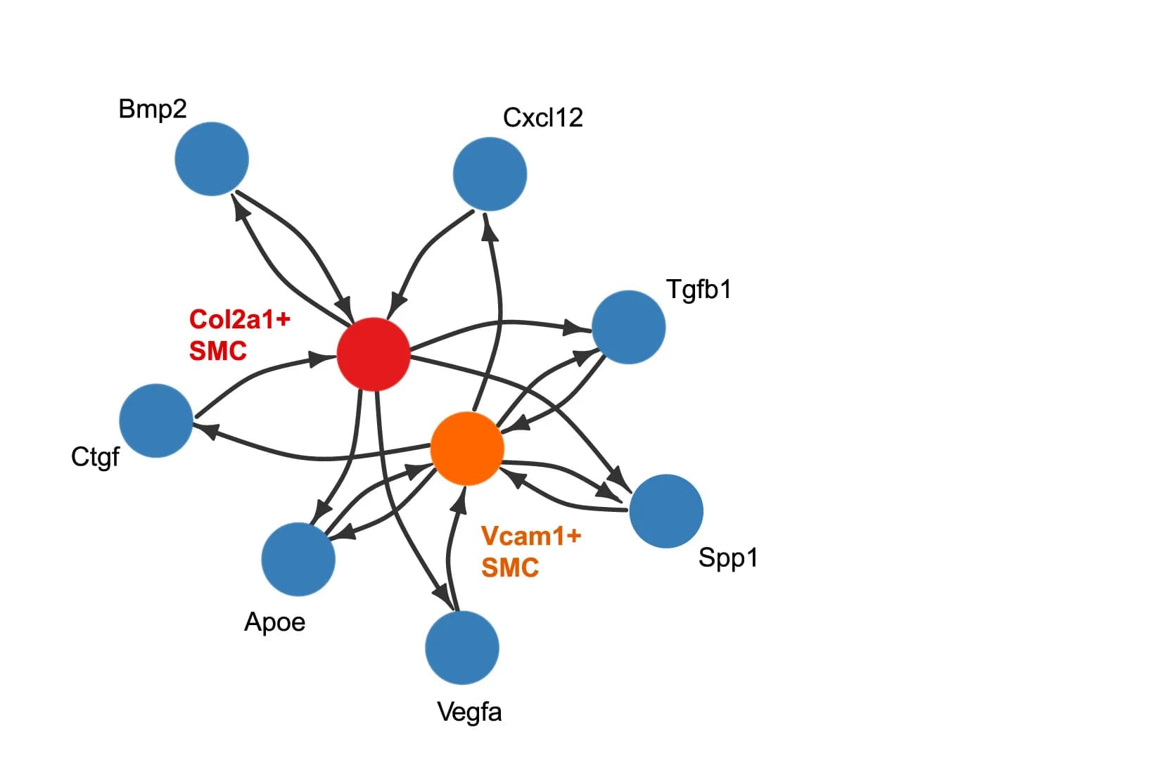 Open access visualization of Network, Pathway, Ligand, Signaling, Vcam1+ SMCs