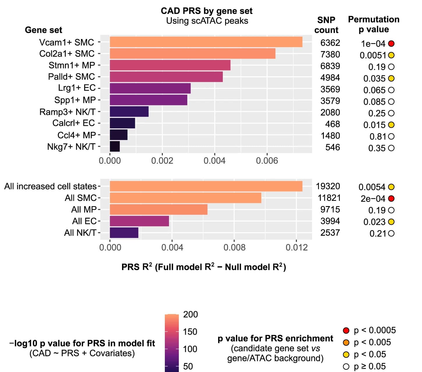 Open access visualization of Bar Plot, Explained Variance, Pathway-Specific PRS, Polygenic Risk, CAD