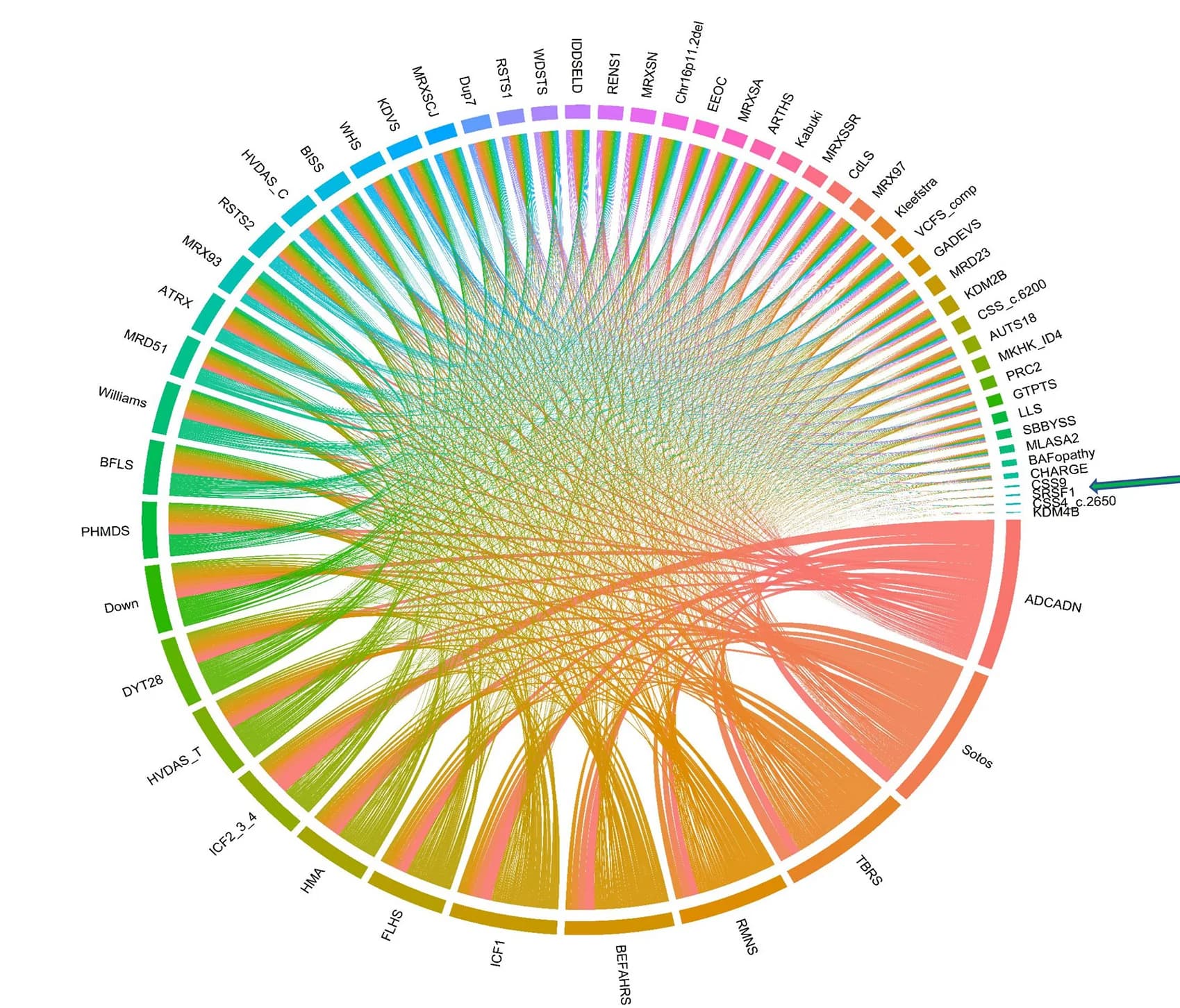Open access visualization of Chord, Circos Plot, Differentially Methylated Probes, DMPs, Cohorts