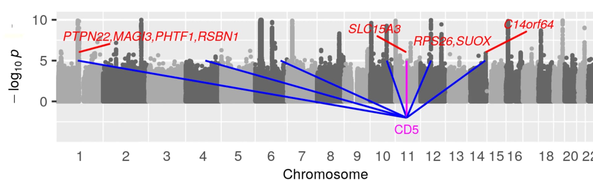 Open access visualization of Manhattan Plot, eQTL, CD5, SNP Associations, T1D