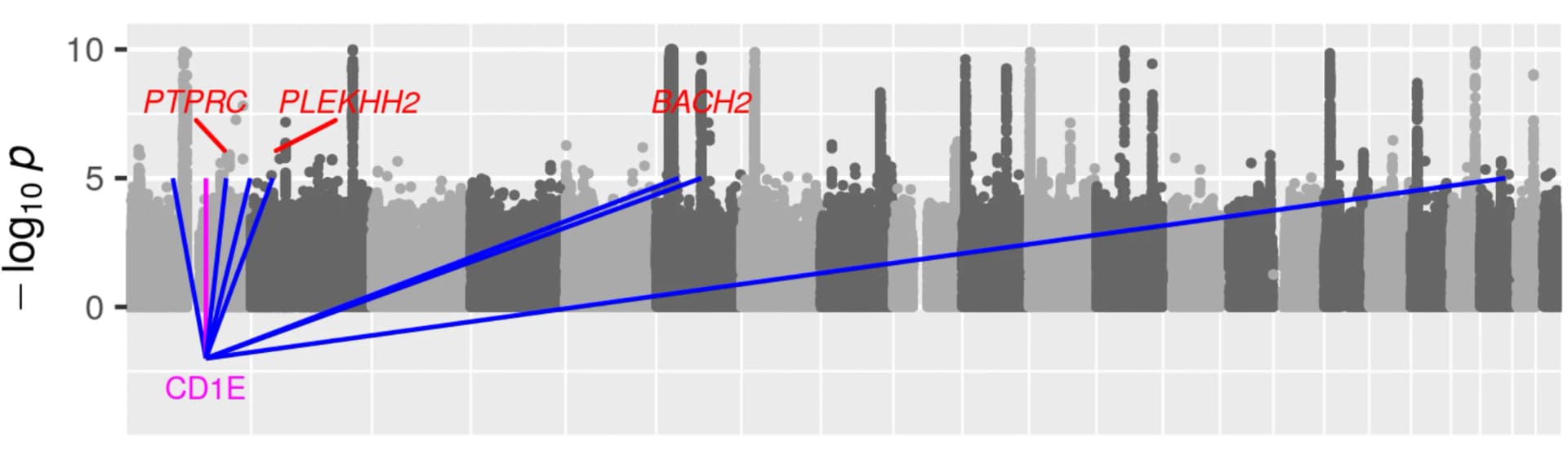 Open access visualization of Manhattan Plot, Scatter Plot, eQTL, SNP, T1D