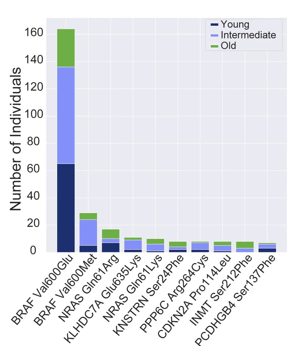 Open access visualization of Stacked Bar Plot, Recurrent Mutations, TCGA, Age Group