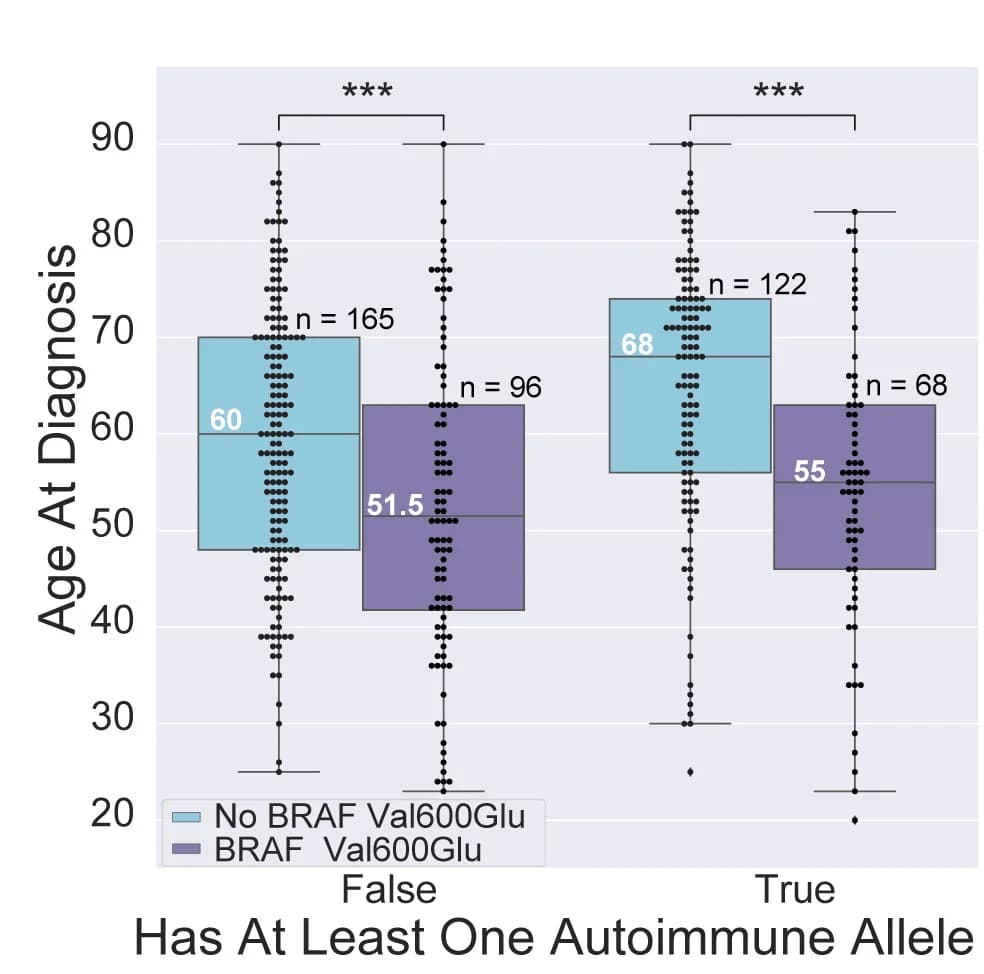 Open access visualization of Box Plot, Raincloud Plot, TCGA, BRAF p.Val600Glu Mutation, Melanoma Diagnosis Age