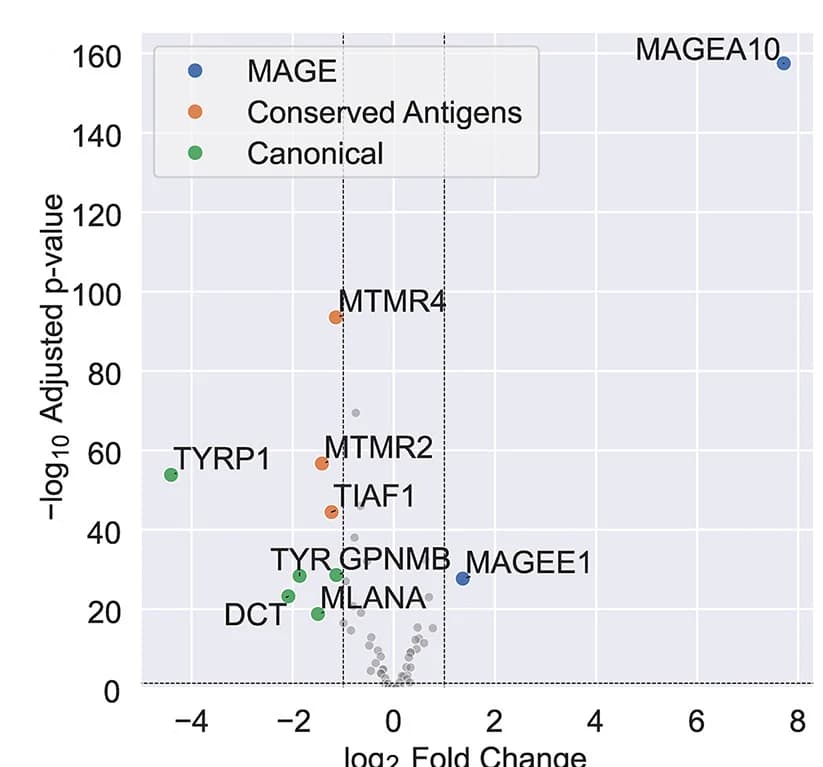 Open access visualization of Volcano Plot, Scatter Plot, Gene Expression, Conserved Antigens, Melanocytes