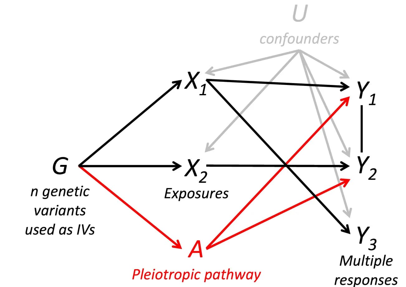 Open access visualization of Pathway, Network, Directed Acyclic Graph, Genetic Variant, Exposure
