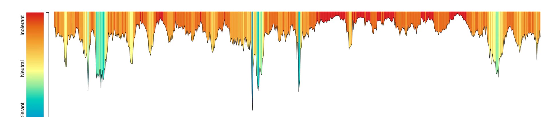 Open access visualization of Line Plot, Heatmap, Tolerance Landscape Plot, TMEM63B Protein, MetaDome Web Server