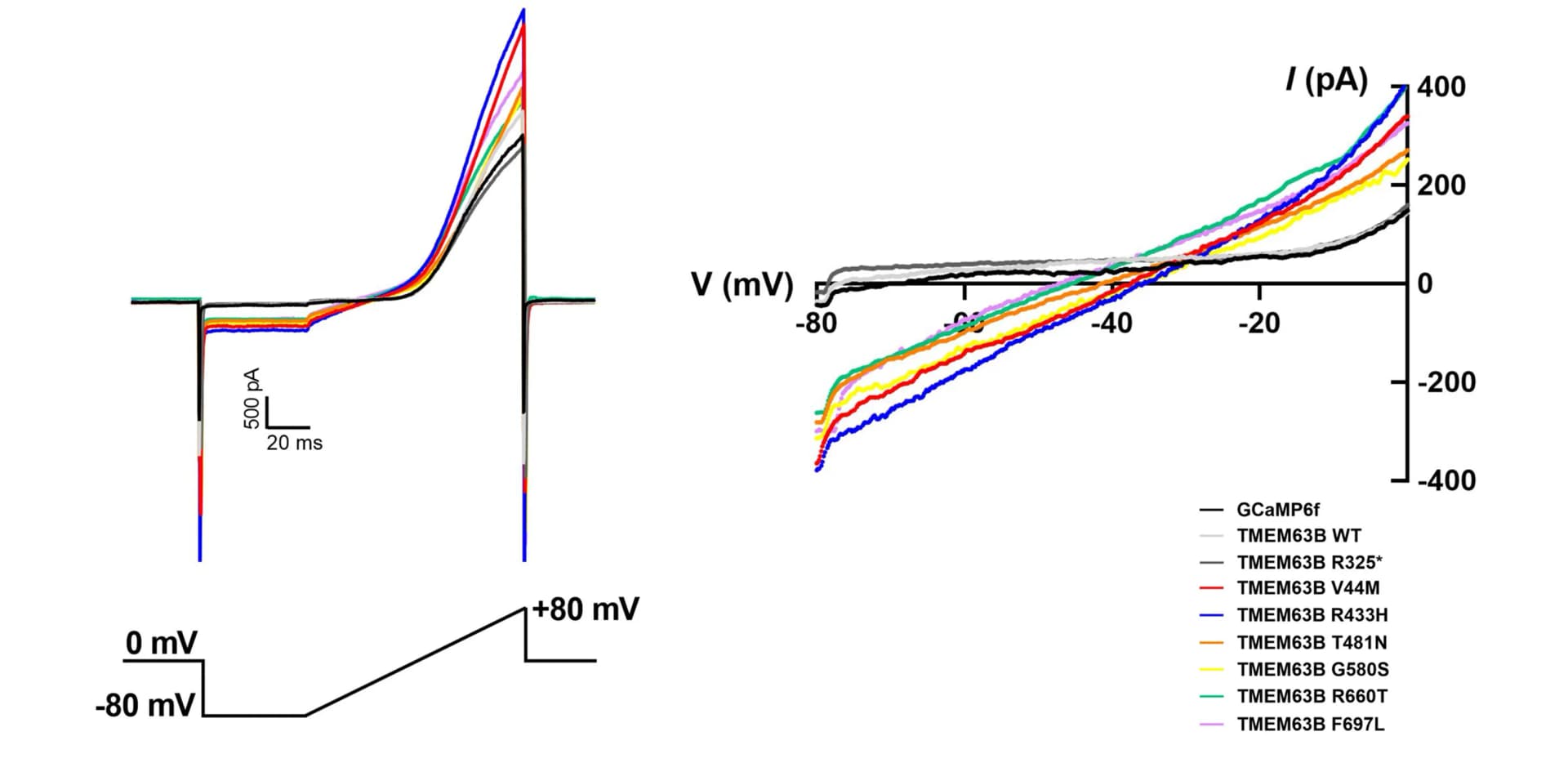 Open access visualization of Line Plot, TMEM63B-mediated currents, Neuro2A cells, GCaMP6f, TMEM63B WT