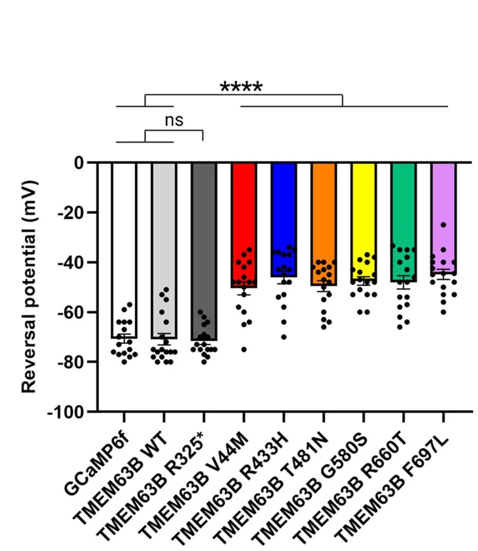 Open access visualization of Bar Plot, Scatter Plot, Error Bars, Reversal Potential, GCaMP6f