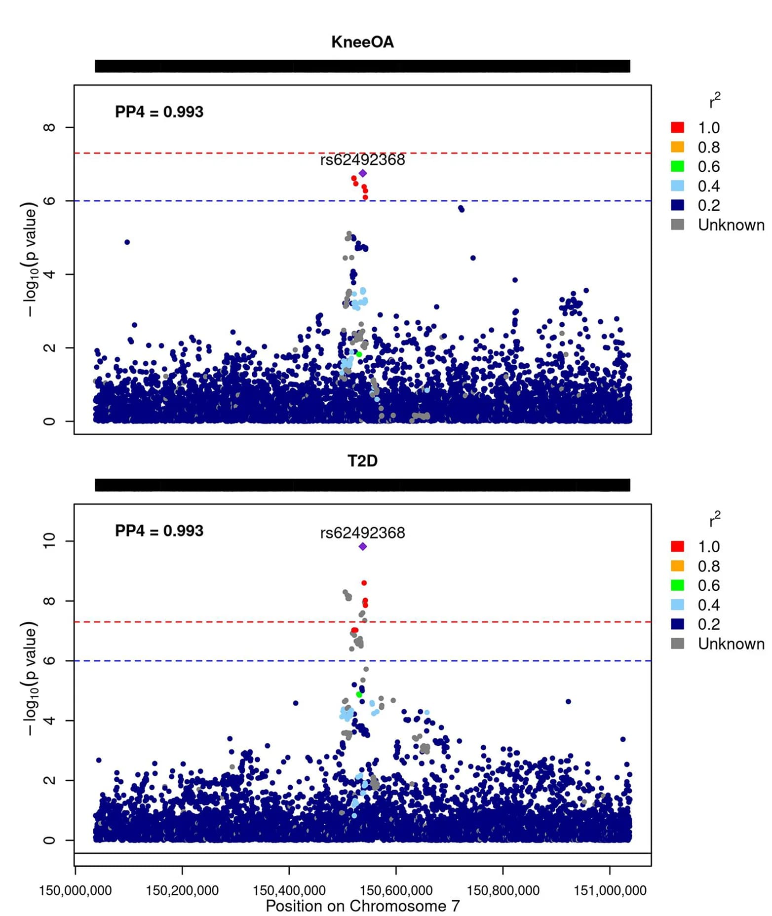 Open access visualization of Scatter Plot, Manhattan Plot, Locuszoom Plot, TMEM176A, Linkage Disequilibrium