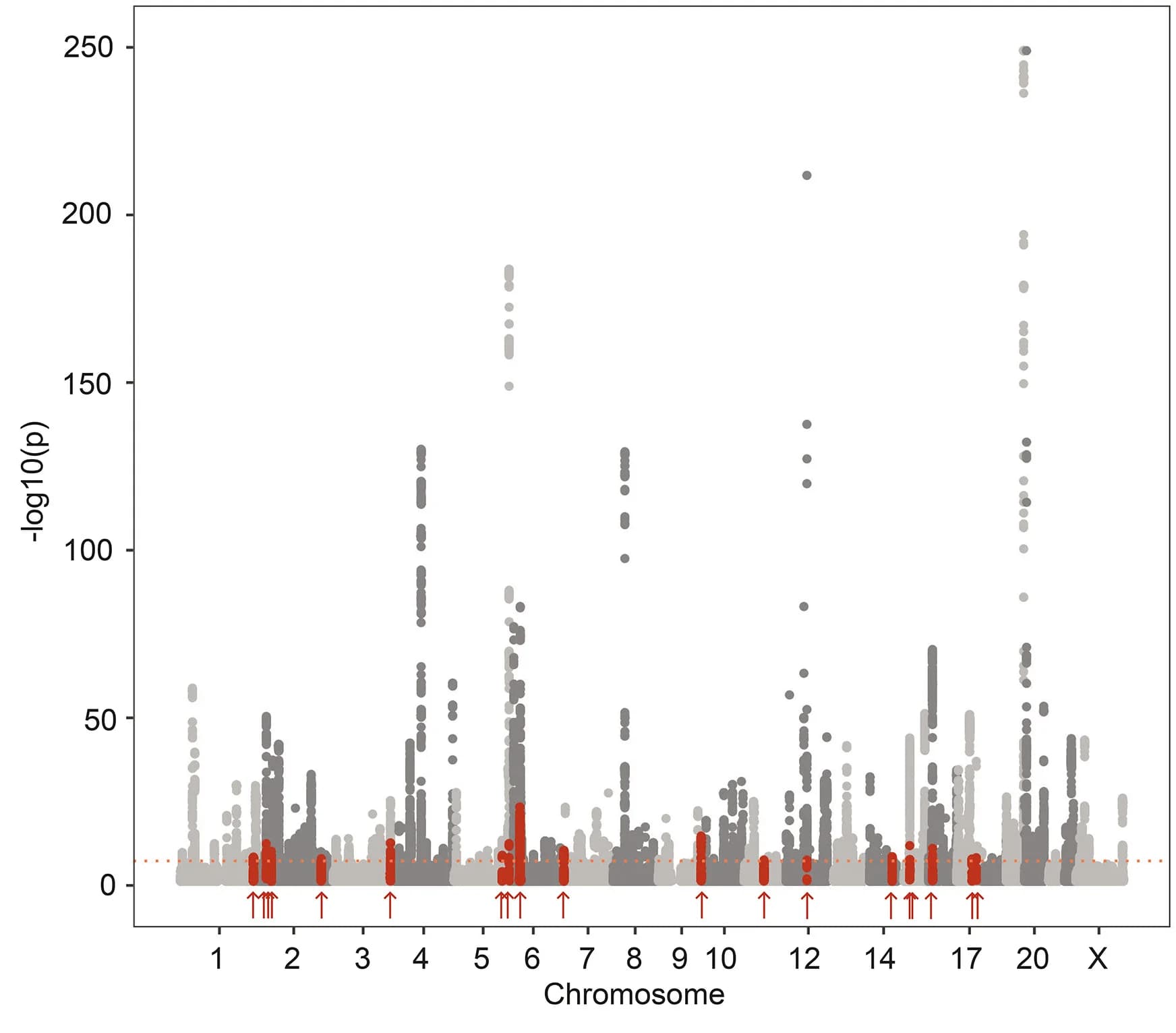 Open access visualization of Manhattan Plot, Bar Plot, ANM, CAMP Model, Biobank Data