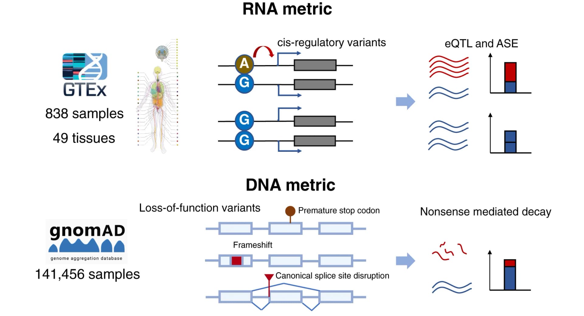 Open access visualization of Workflow, Bar Plot, RNA metrics, DNA metrics, Cis-regulatory variants