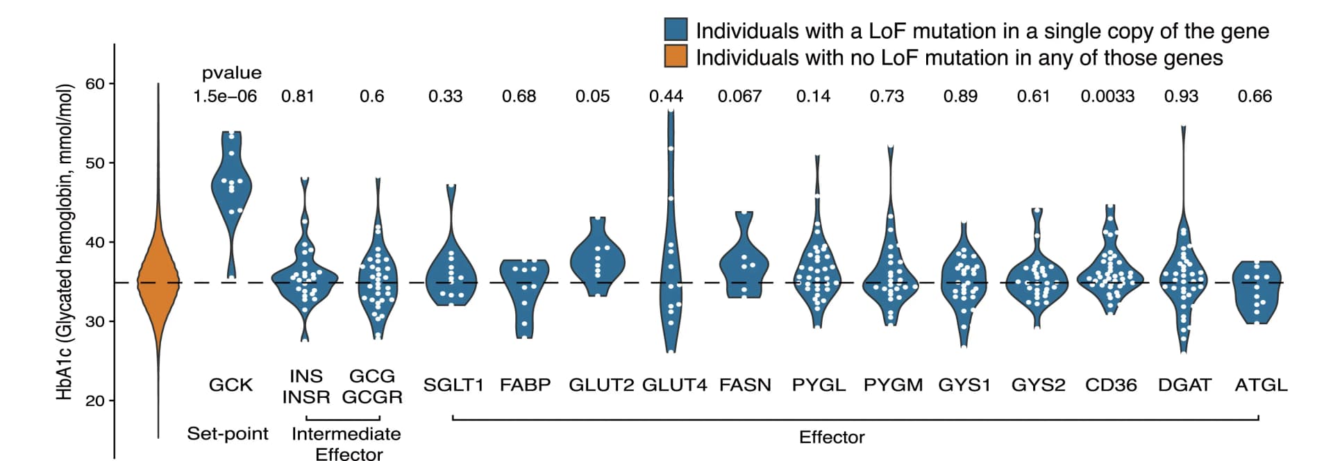 Open access visualization of Violin Plot, LoF Mutations, Effector Genes, Set-point Genes, Glycated Hemoglobin
