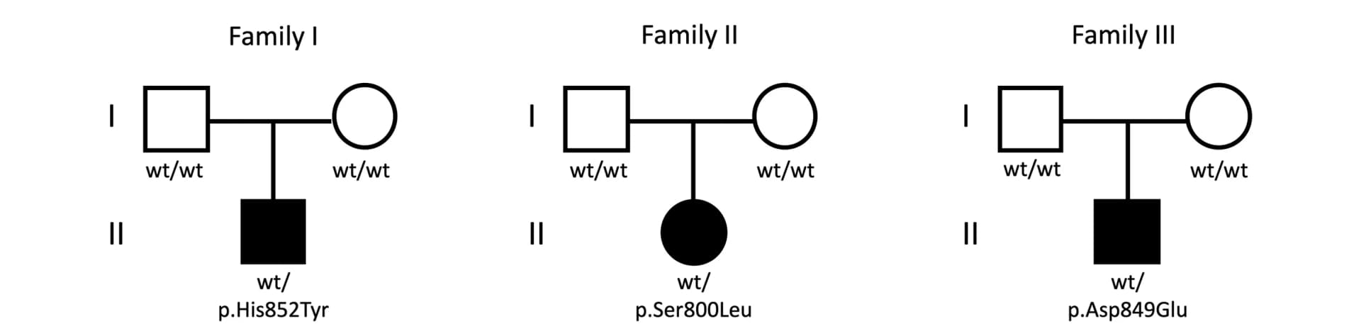Open access visualization of Flowchart, DENND5B, Variants, DENN Domain, RUN1 Domain