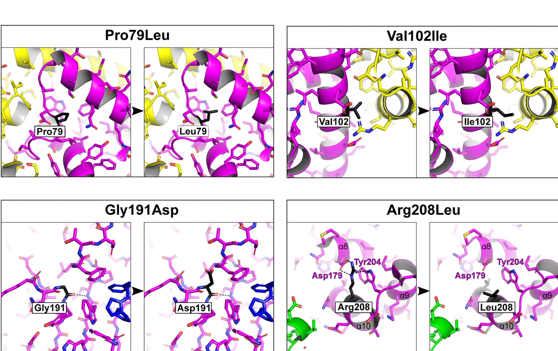 Open access visualization of Protein Structure, Chemical Structure, Residues, Missense Variants, Hydrogen Bonds