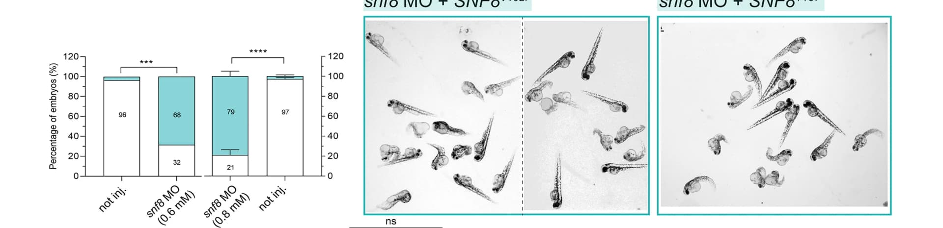 Open access visualization of Bar Plot, Error Bars, Photo, Fish, Development
