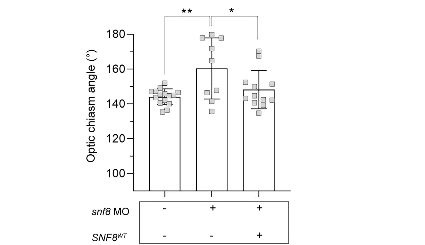 Open access visualization of Bar Plot, Error Bars, Scatter Plot, Quantification, Optic Chiasm