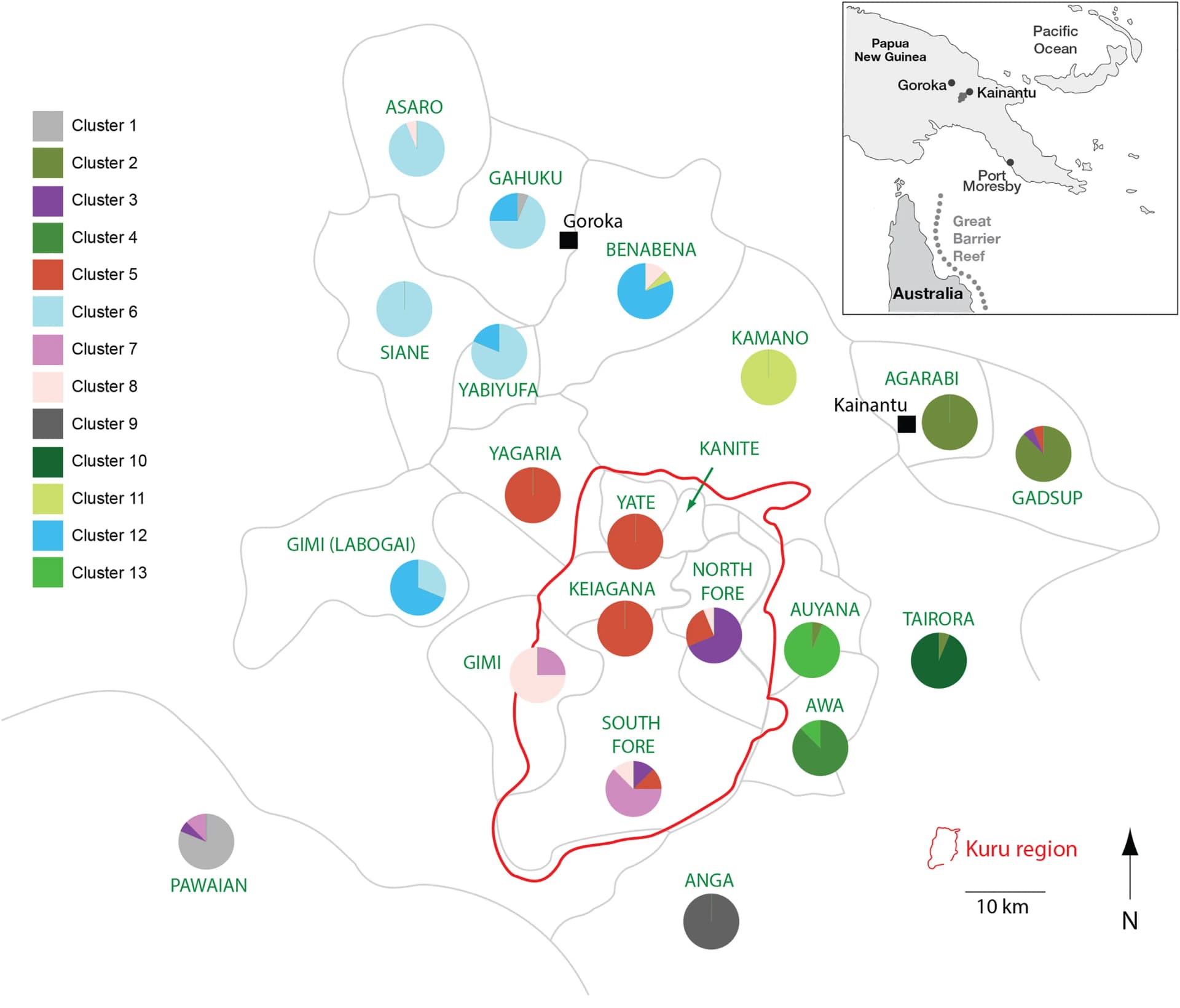 Open access visualization of Geo Map, Pie Chart, Linguistic Groups, EHPNG Region, fineStructure Cluster