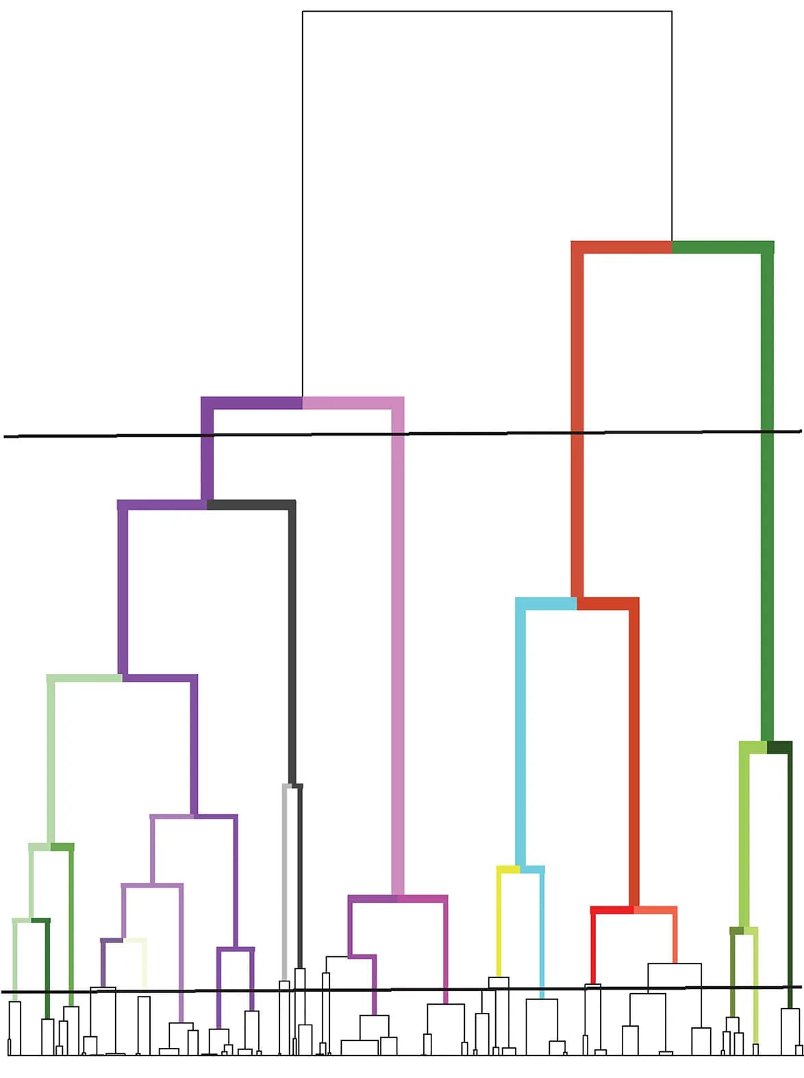 Open access visualization of Dendrogram, Clustered, fineStructure Dendrogram, Clustering, Individuals
