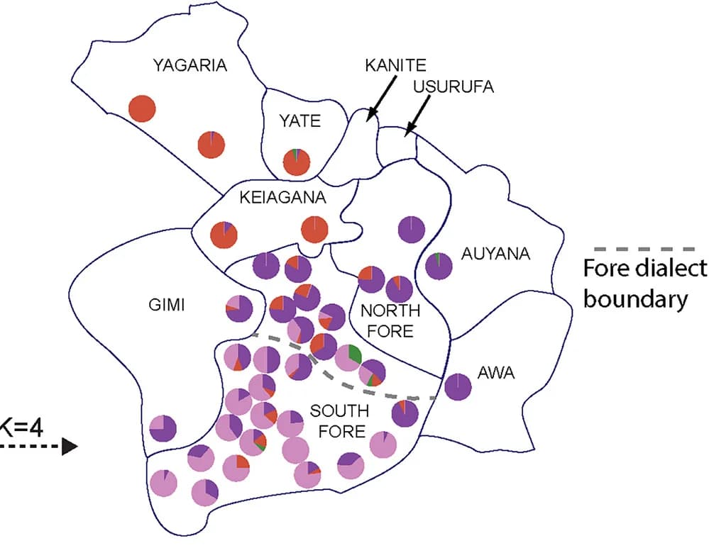 Open access visualization of Geo Map, Pie Chart, fineStructure Dendrogram, Clustering, Individuals