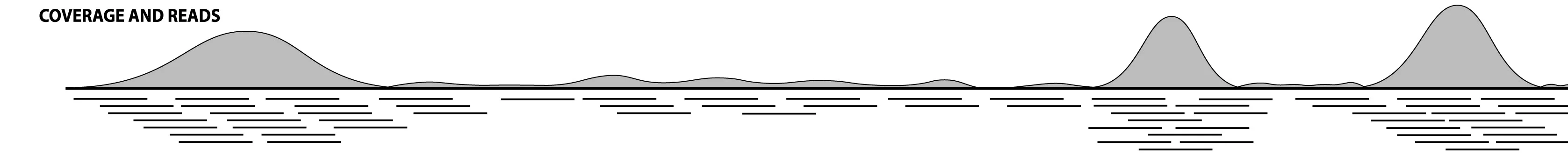 Open access visualization of Line Plot, Density Plot, NGS, Genomic Region, Reads