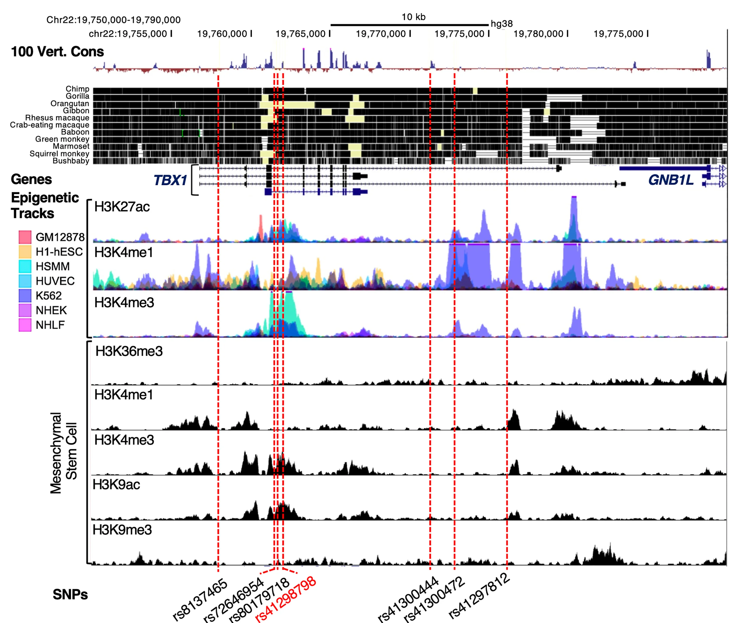 Open access visualization of Line Plot, Manhattan Plot, Density Plot, SNPs, TBX1