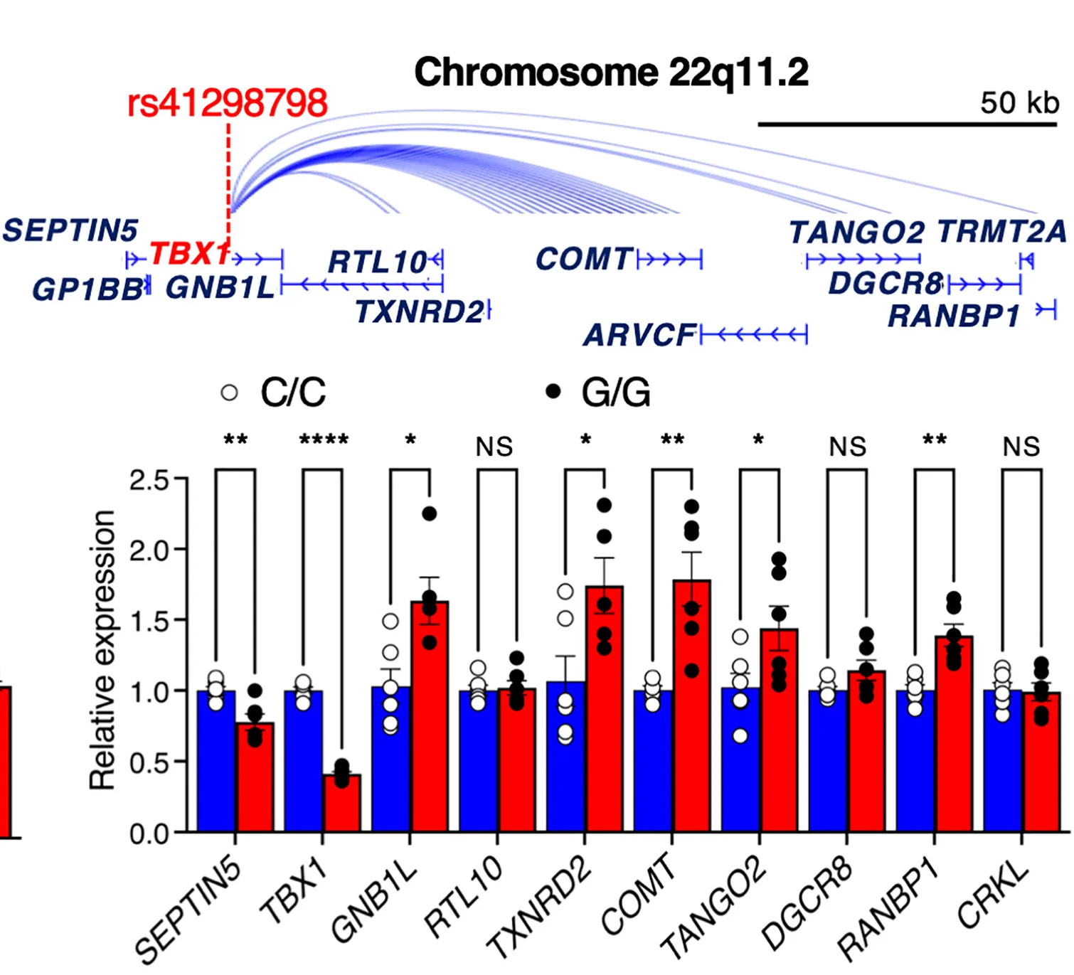 Open access visualization of Bar Plot, Error Bars, 3D Interaction Viewer, Genome Assembly, MG63 Cells